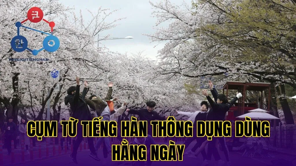 Cụm từ tiếng hàn thông dụng dùng hằng ngày