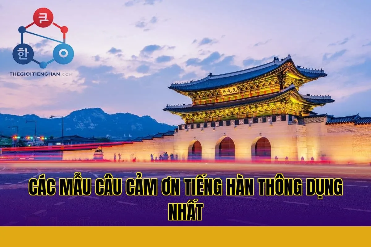 Các mẫu câu cảm ơn tiếng Hàn thông dụng nhất