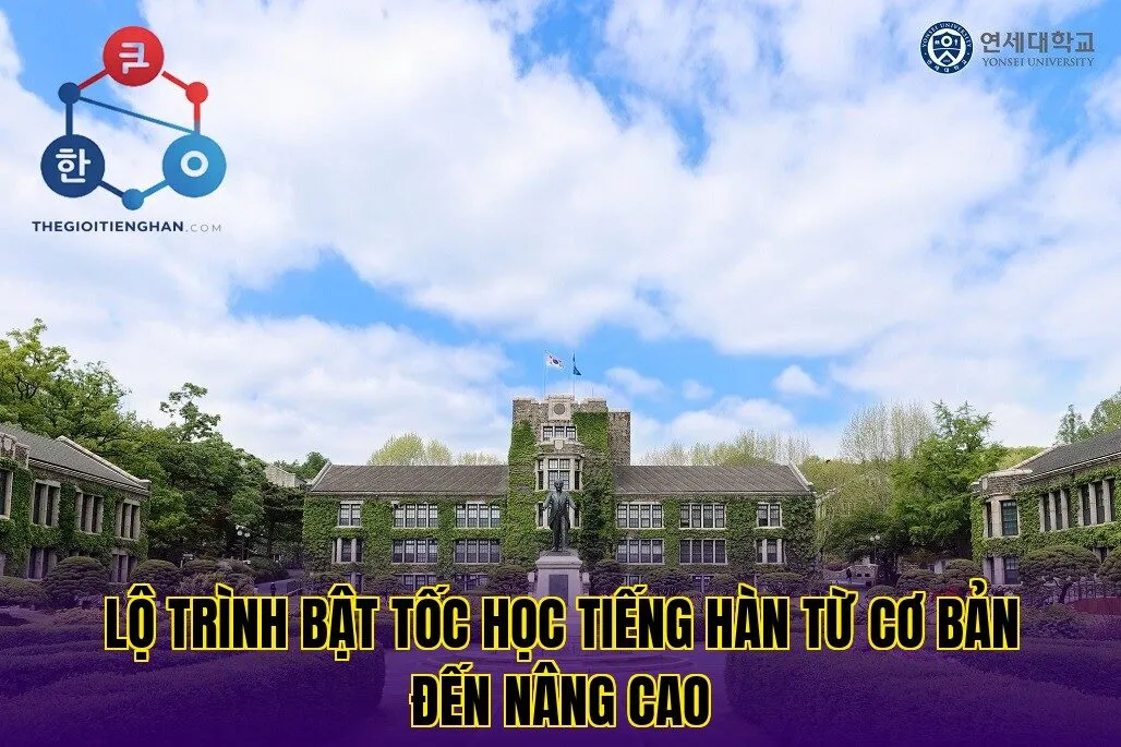 Lộ trình bật tốc học tiếng hàn từ cơ bản đến nâng cao