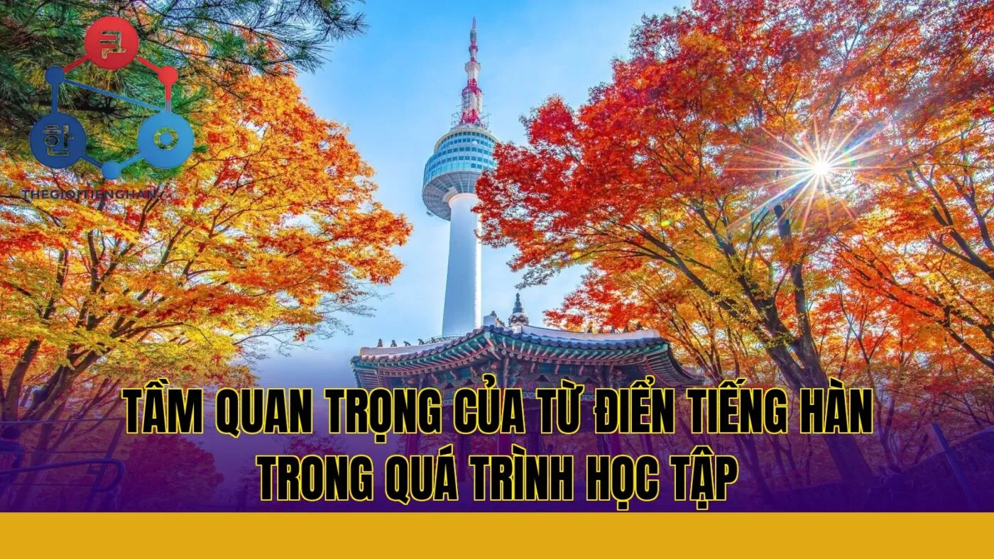 Tầm quan trọng của từ điển tiếng Hàn trong quá trình học tập
