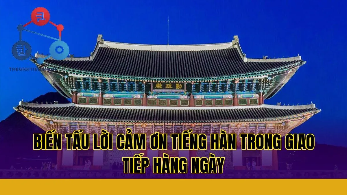 biến tấu lời cảm ơn tiếng hàn trong giao tiếp hàng ngày