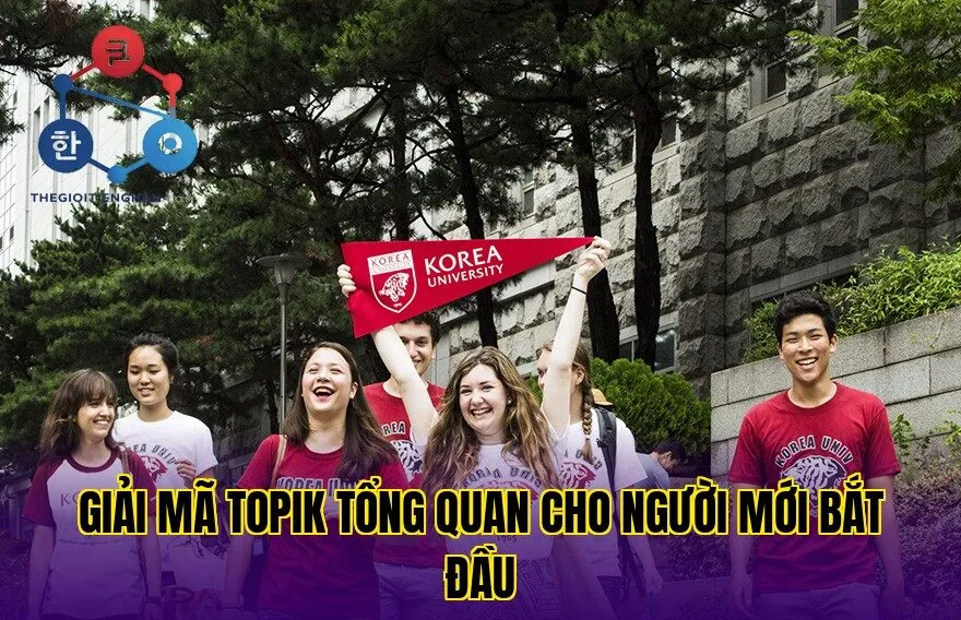 Giải mã topik tổng quan cho người mới bắt đầu