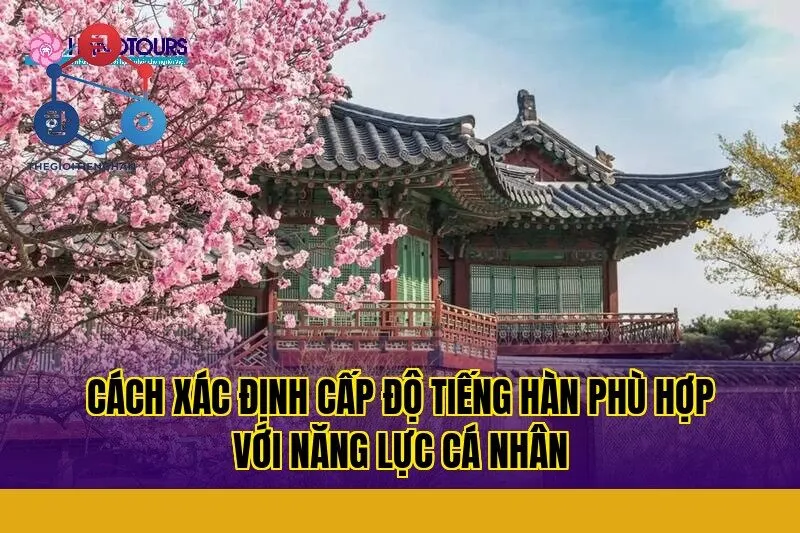 cách xác định cấp độ tiếng hàn phù hợp với năng lực cá nhân