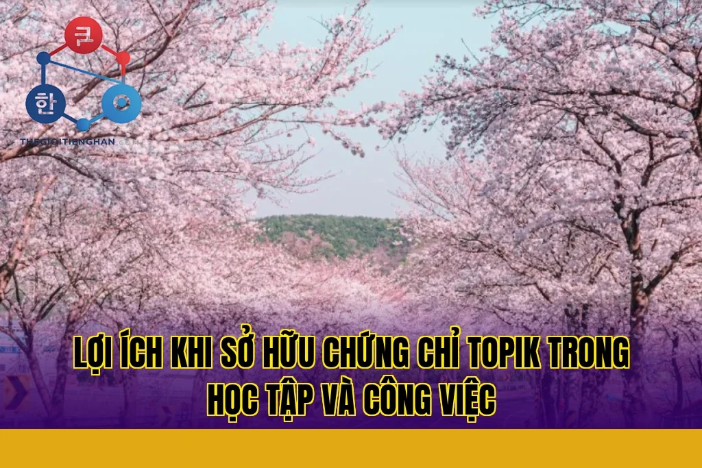lợi ích khi sở hữu chứng chỉ topik trong học tập và công việc