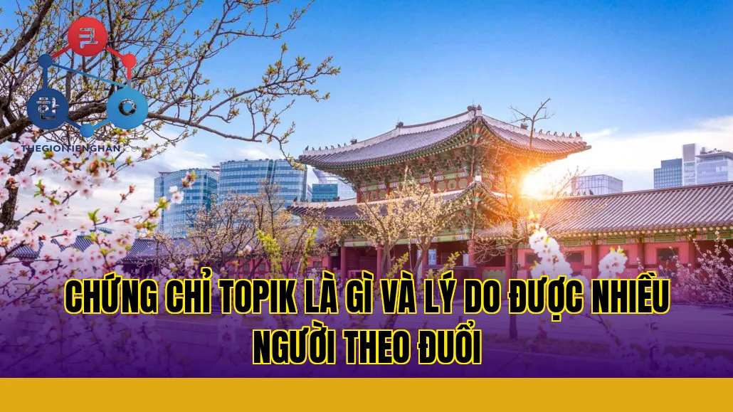 chứng chỉ topik là gì và lý do được nhiều người theo đuổi