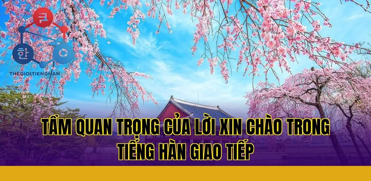 Tầm quan trọng của lời xin chào trong tiếng Hàn giao tiếp