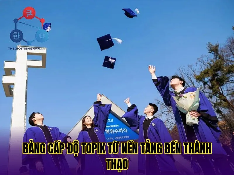 Bảng cấp độ topik từ nền tảng đến thành thạo