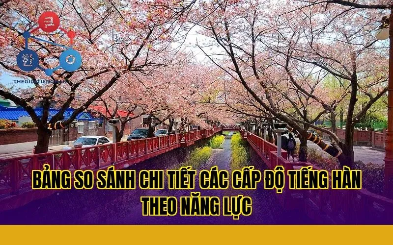 bảng so sánh chi tiết các cấp độ tiếng hàn theo năng lực