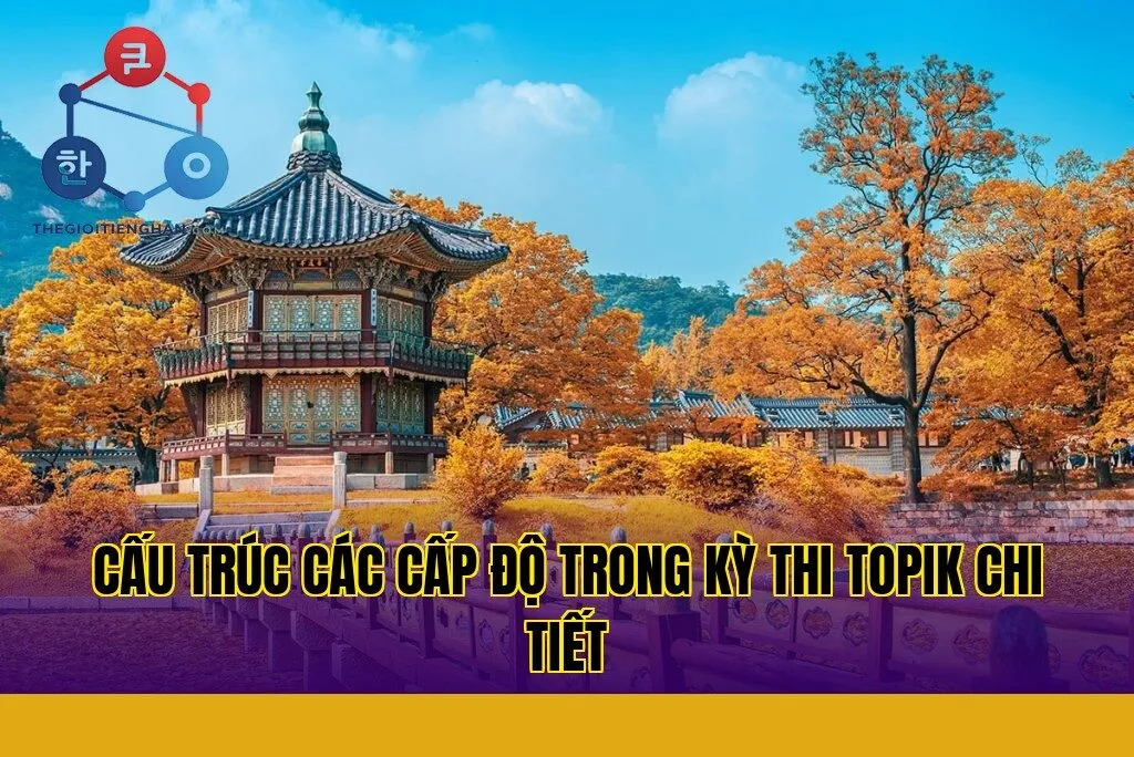 cấu trúc các cấp độ trong kỳ thi topik chi tiết