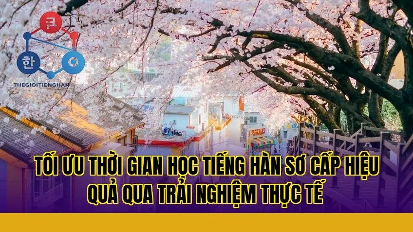 Tối ưu thời gian học tiếng Hàn sơ cấp hiệu quả qua trải nghiệm thực tế