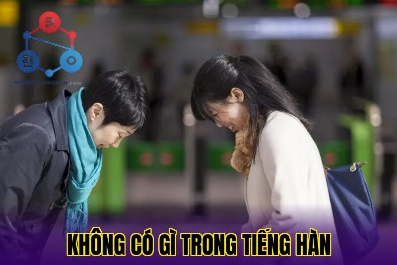 Không Có Gì Tiếng Hàn | Cách Dùng & Ví Dụ Chi Tiết